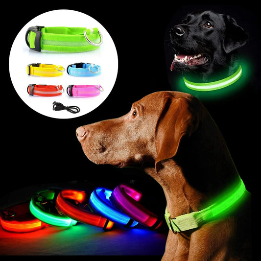 LED Glowing Dog Collar USB Rechargeable /  Battery