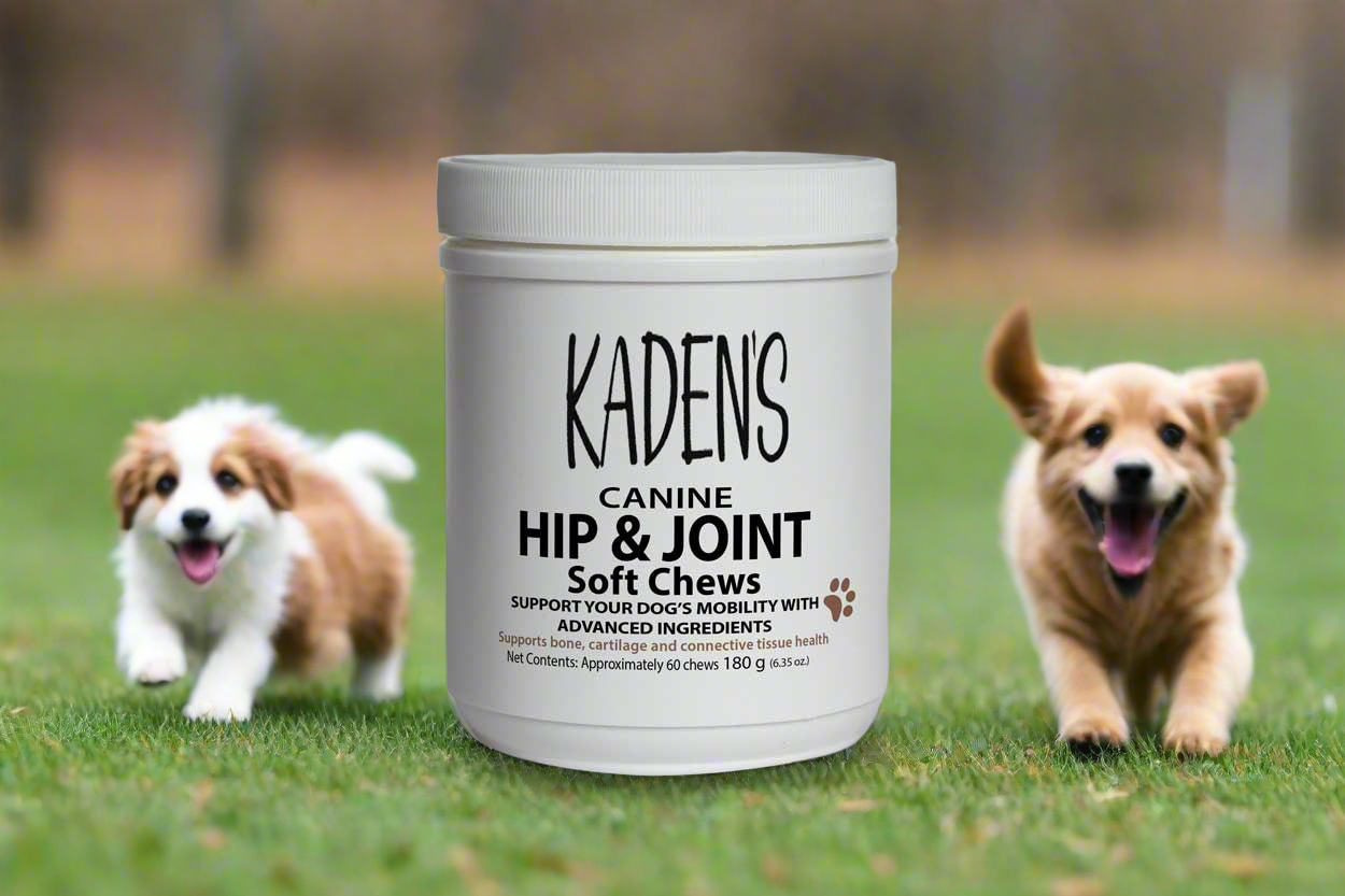 KADEN'S CANINE HIP & JOINT CHEWS