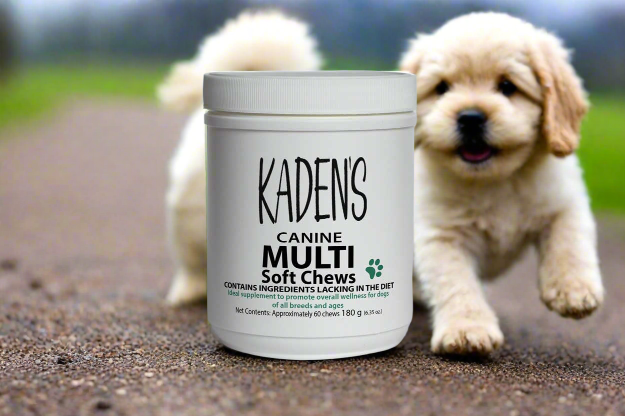 KADEN'S CANINE MULTI VITAMIN CHEWS