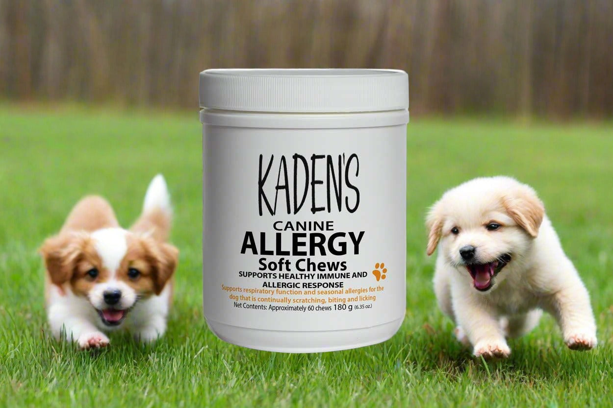 KADEN'S CANINE ALLERGY CHEWS