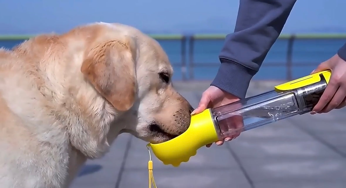 3 In 1 Portable Pet Water Bottle