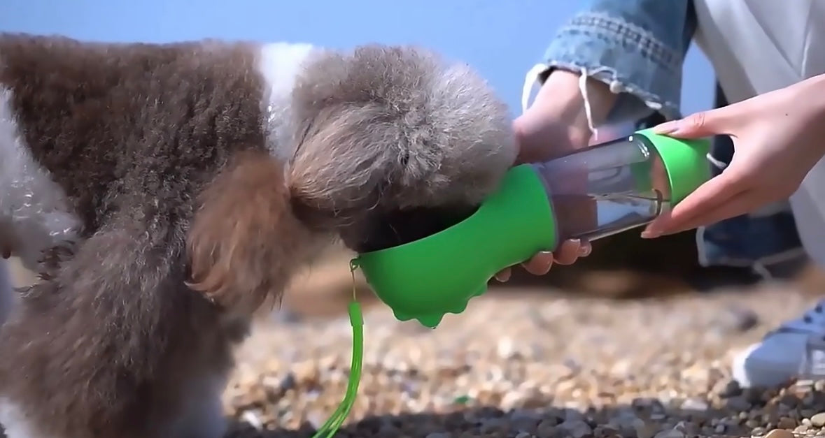 3 In 1 Portable Pet Water Bottle