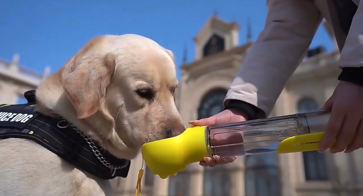 3 In 1 Portable Pet Water Bottle