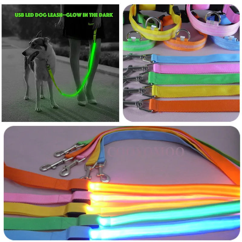 Led Dog Leash Usb Rechargeable 