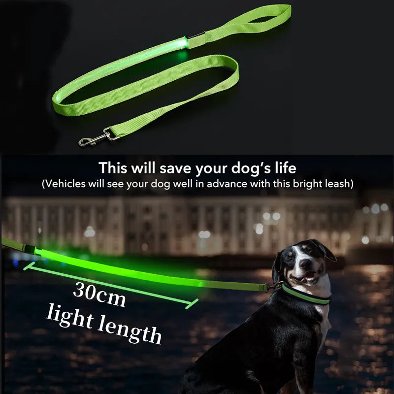 Led Dog Leash Usb Rechargeable