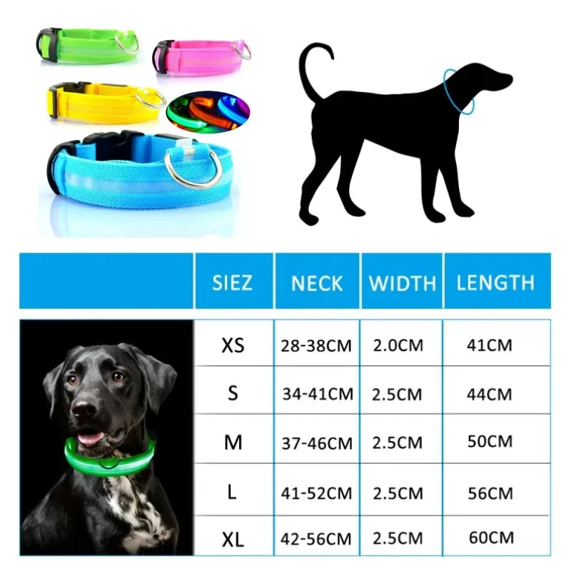 Illuminate Your Walks with LED Dog Collars - BSP Pet World