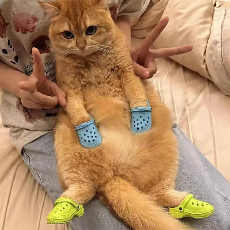 Fashion Pet Shoes