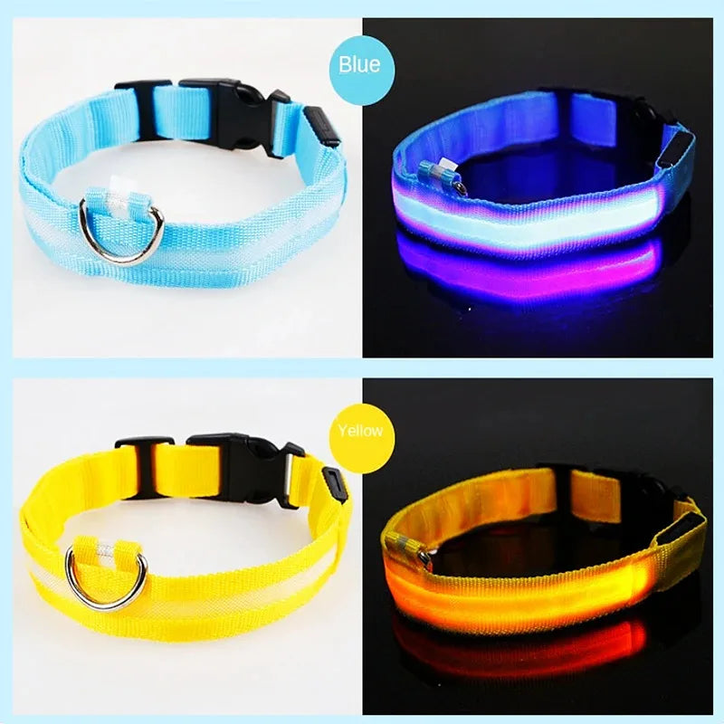 LED Dog Collar USB Rechargeable / Battery 