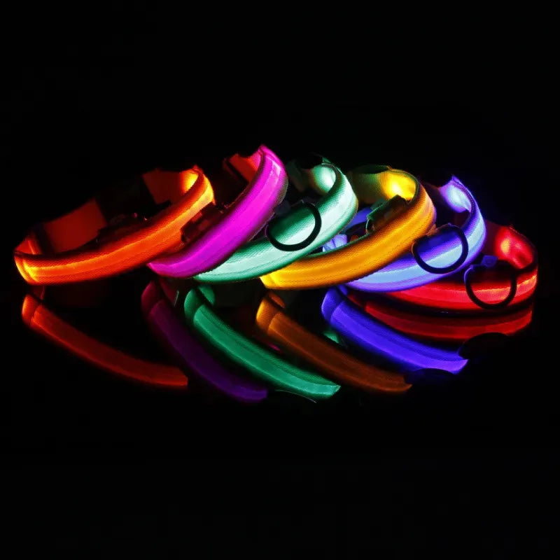 LED Dog Collar USB Rechargeable / Battery 