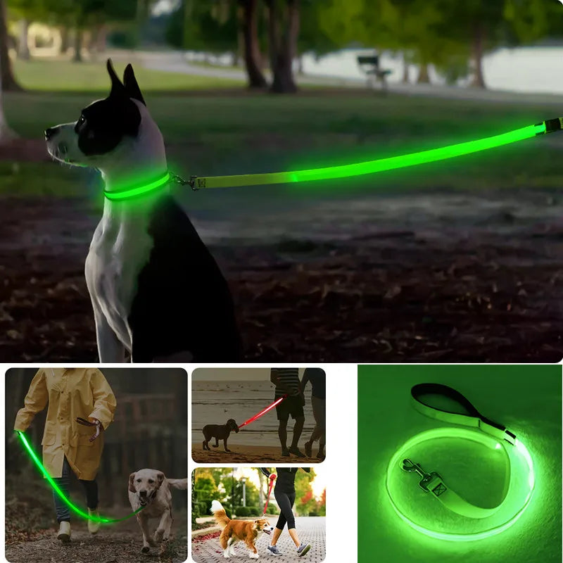 Led Dog Leash Usb Rechargeable