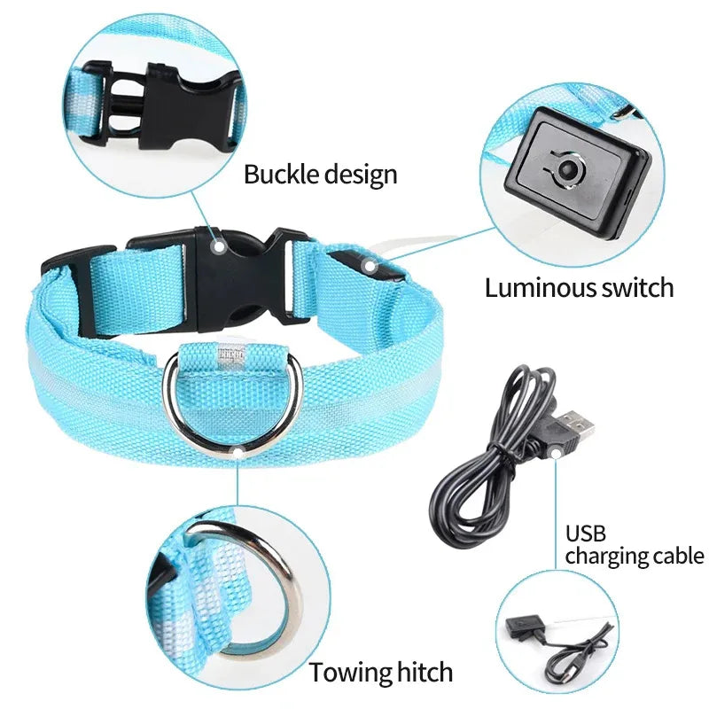 Illuminate Your Walks with LED Dog Collars - BSP Pet World