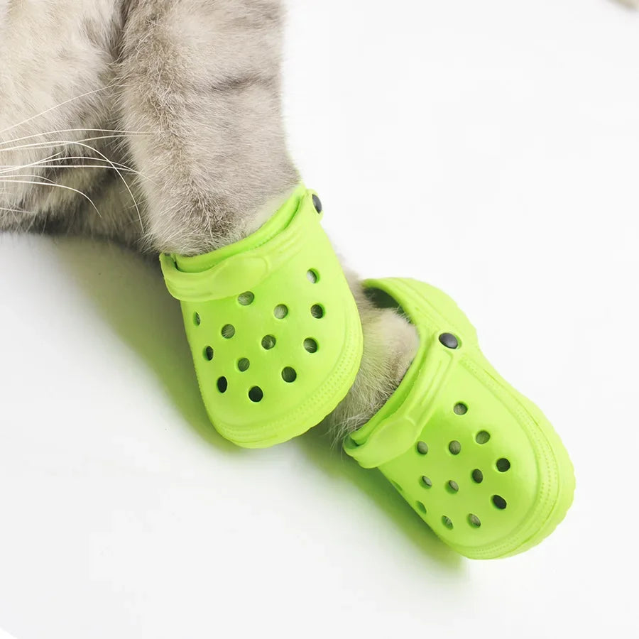 Fashion Pet Shoes