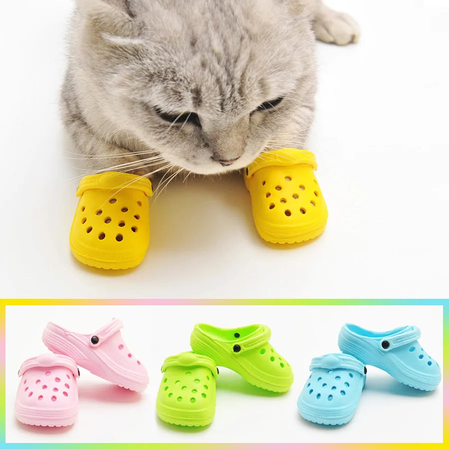 Fashion Pet Shoes