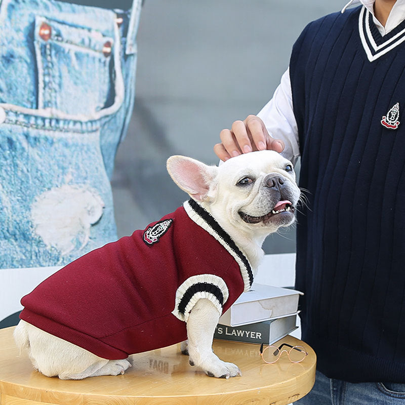 Shop Warm Dog Clothes for Cozy Winters - BSP Pet World