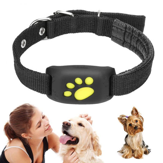 Track Your Pet Anywhere with GPS Tracker Collar | Bsp Pet World