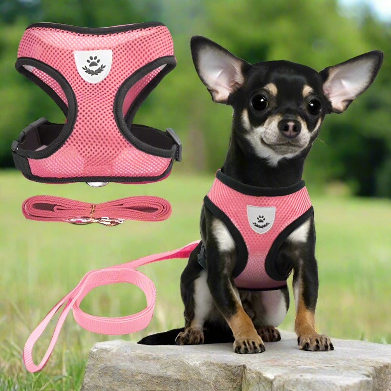 Adjustable Vest Pet Harness