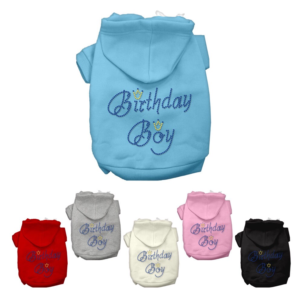 Birthday Boy Dog & Cat Hoodie with Rhinestones