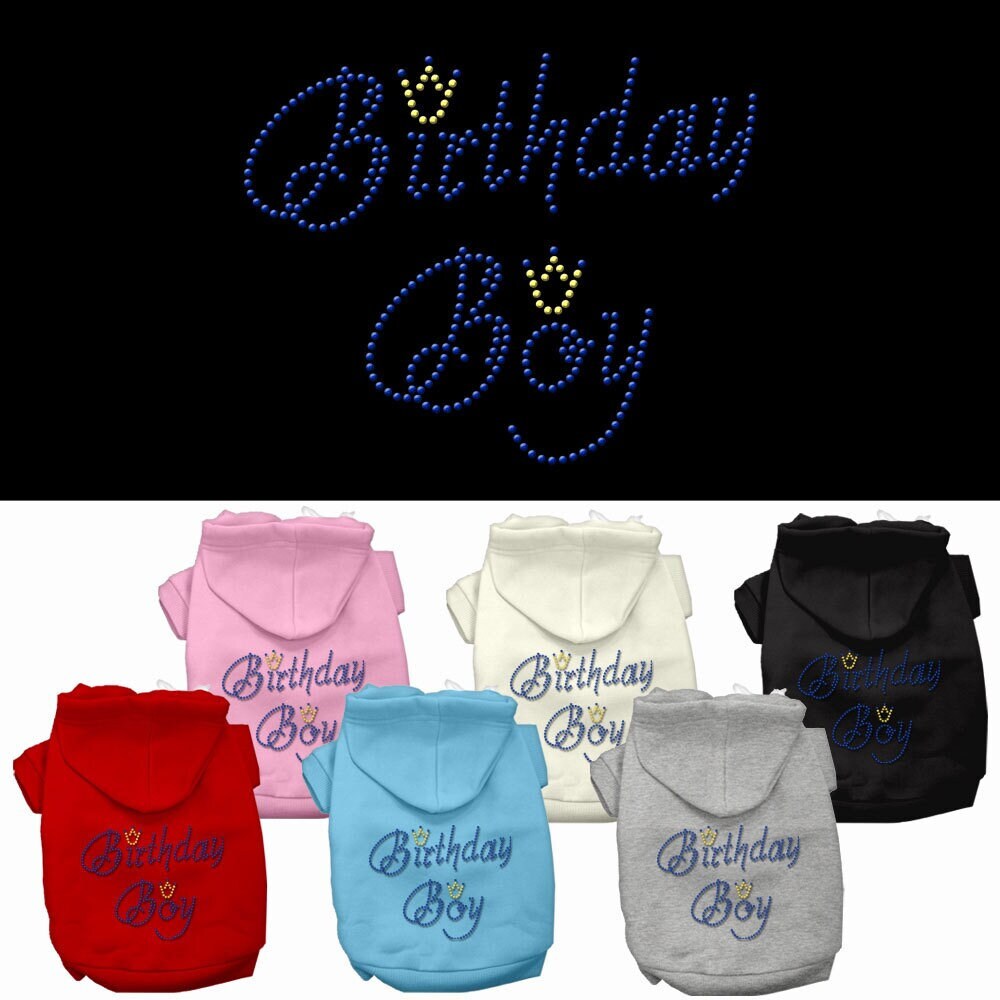 Birthday Pet Dog & Cat Hoodie Rhinestone, "Birthday Boy" 