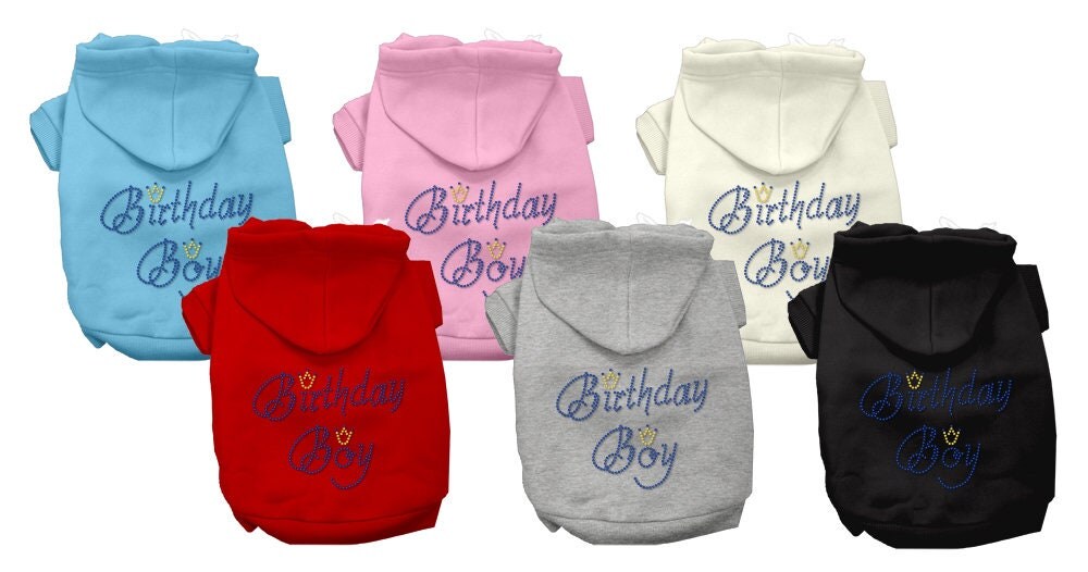 Birthday Boy Dog & Cat Hoodie with Rhinestones