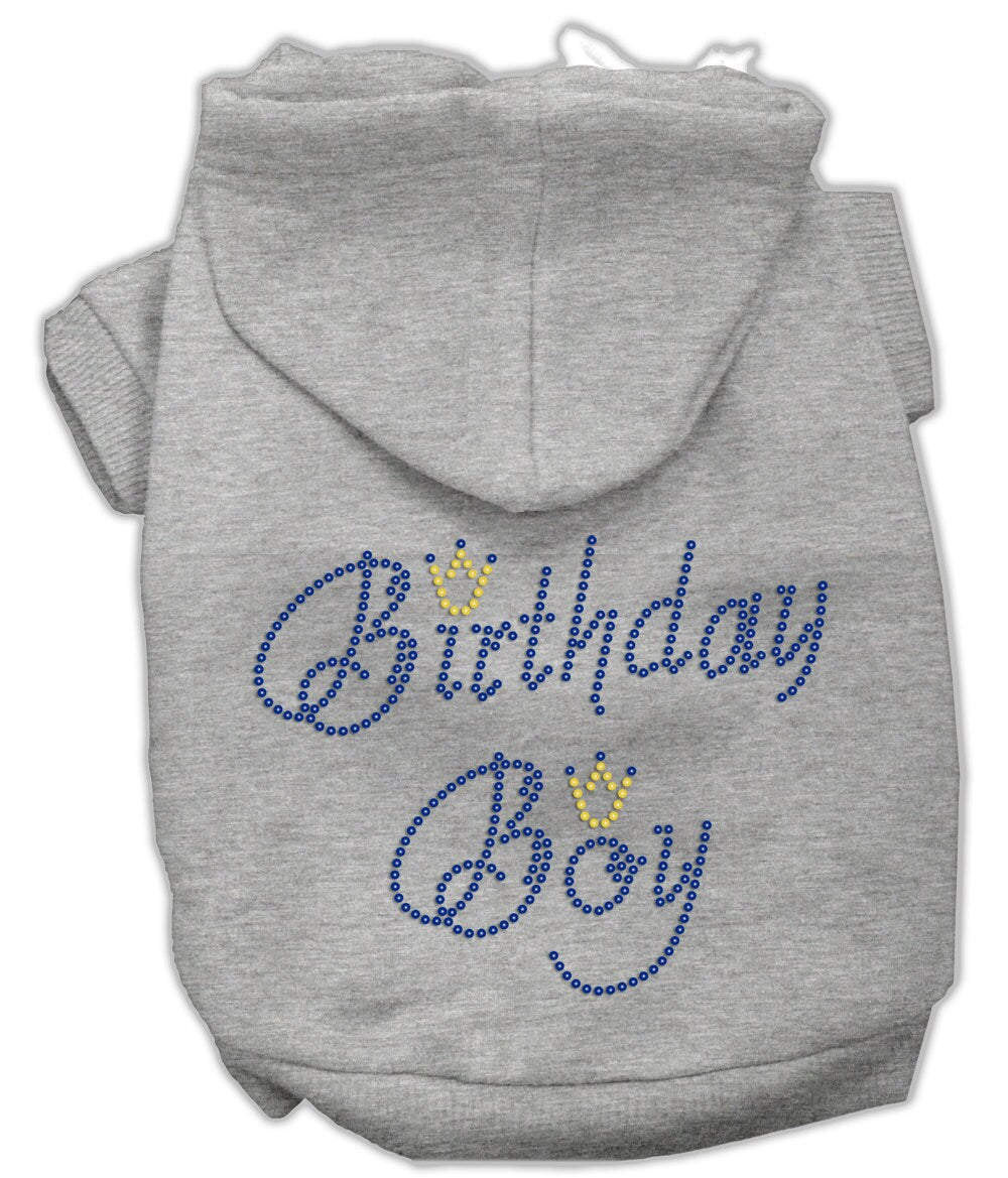 Birthday Boy Dog & Cat Hoodie with Rhinestones